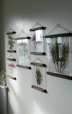 there are many plants in the glass vases hanging on the wall next to each other