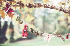 several pairs of socks hanging from a tree branch with leaves on the ground and grass in the background