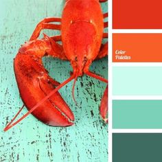 a red lobster on a blue wooden table with color swatches in the middle and bottom