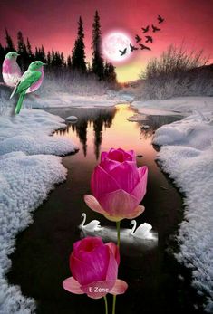 two pink flowers sitting in the snow next to a river with birds flying over it