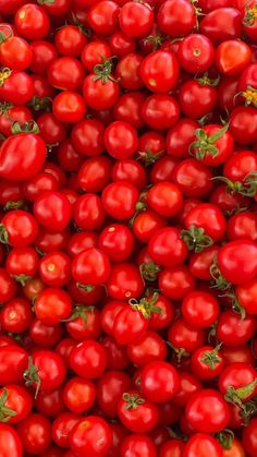 many red tomatoes are piled up together