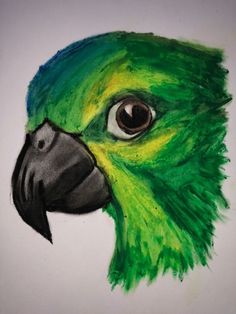 a drawing of a green parrot's head