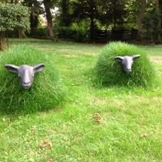 two sheep made out of grass sitting in the middle of a field