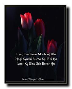 two red tulips are in the middle of a black background with an inspirational quote