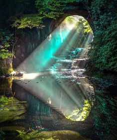 the light shines brightly through the trees and into the water, creating a tunnel in the forest