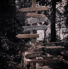 there are many signs on the post in the woods that point to different places and directions