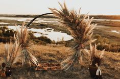 two vases sitting on top of a dry grass covered field next to a body of water