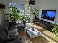 a living room filled with furniture and a large flat screen tv mounted on the wall