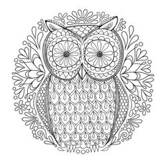 an owl with ornate patterns on it's face and eyes, in black and white