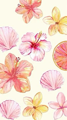 a painting of pink flowers and oranges on a white background