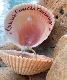 a shell with a wedding ring on it sitting next to some rocks by the water