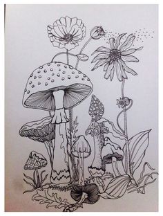 an ink drawing of mushrooms and flowers