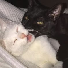 a black cat laying next to a white cat on top of a bed