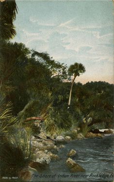 an old painting of a river surrounded by trees and rocks in the foreground, with palm trees on either side