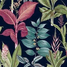 an illustration of tropical plants and leaves on a black background with red, green, pink, and blue colors