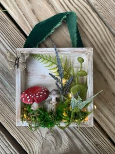 a wooden box filled with plants and mushrooms