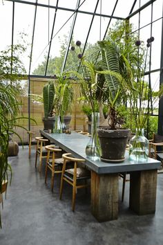 there are many potted plants on the table in this room with chairs and tables