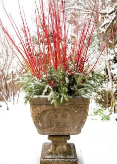 a planter filled with red flowers and greenery on top of snow covered ground