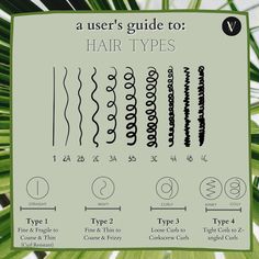 Secrets Behind the Curly Girl Hair Method for Wavy Hair - Hair Adviser Curly Hair Method, Hair Type Chart, Hair Stules, The Curly Girl Method, Curly Wavy Hair, V Hair, Chibi Hair, Bob Haircut Curly, Frizz Free Curls