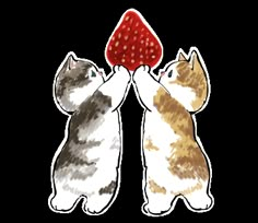 two cats standing next to each other with a strawberry on top of their heads in front of them