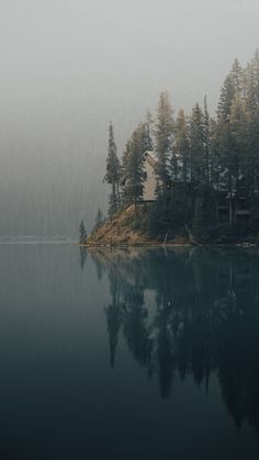 an island in the middle of a lake surrounded by pine trees on a foggy day