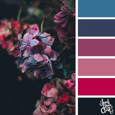 purple and blue flowers are featured in the color palettes for this image, which includes red