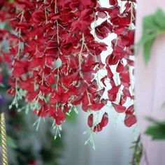 red flowers hanging from the ceiling in a room