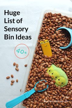 a pile of brown beans with toys on it and the words list of sensory bin ideas