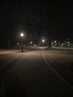 an empty park path at night with street lights