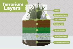 a diagram showing the different layers in a glass jar with text describing how to use terrarium