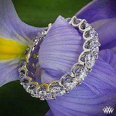 a close up of a flower with a ring on it