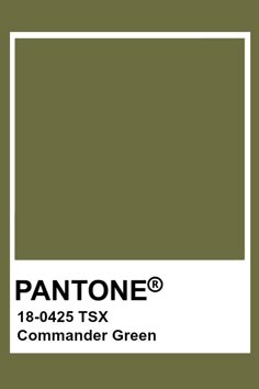 pantone's green color is shown with the text, ` person'on it