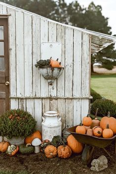 pumpkins and gourds are arranged in front of a white shed with an old door