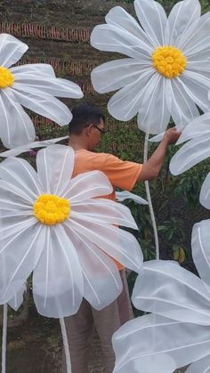 a man standing next to white flowers with yellow centers