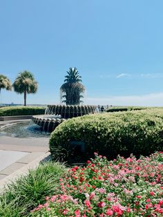 a fountain surrounded by flowers and palm trees