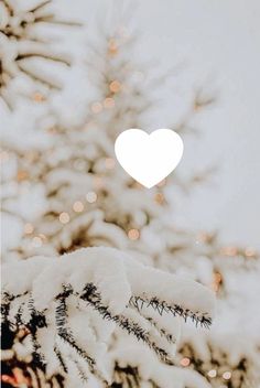 a white christmas tree is covered in snow