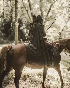 a man riding on the back of a brown horse through a forest filled with trees