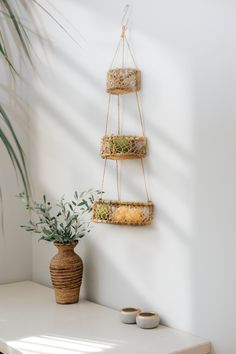 three planters hanging on the wall next to a potted plant and two bowls