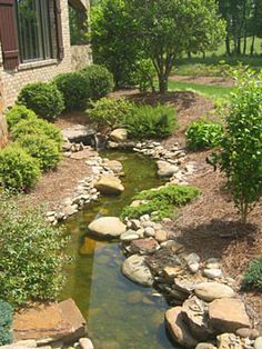 a small stream running through a lush green yard