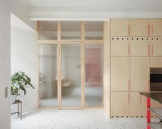 a kitchen with lots of cupboards and a potted plant