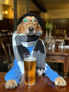 a dog sitting at a table with a glass of beer in front of its face