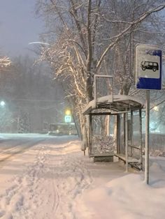 a bus stop covered in snow next to a tree