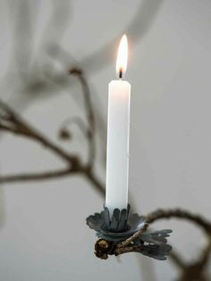 a white candle is lit on a branch