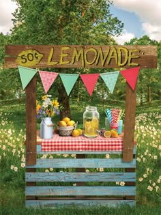 Lemonade Stand Photography Backdrop - Lemonade stand backdrop with rustic wooden elements Lemonade Stand Photography, Stand Photography, Portable Backdrop, Gingham Tablecloth, Themed Photography, Printed Photo, Paper Backdrop, Glass Jug, Vinyl Backdrops