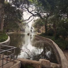 there is a small pond in the middle of this park