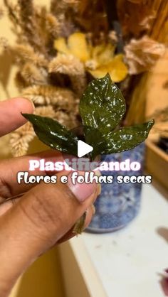 a person holding up a fake leaf in front of a vase with flowers on it