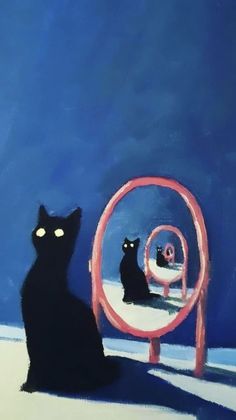 a black cat sitting in front of a mirror