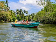 several people are riding in a small blue boat on the water with palm trees behind them