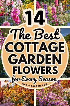 Explore the best seasonal planting options for your cottage garden with this guide to 14 beautiful flowers. Learn what to plant in spring, summer, and fall to ensure vibrant blooms throughout the year, making your garden the perfect mix of color and charm.