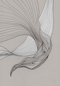 an abstract drawing of wavy lines on a gray background